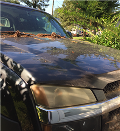 2003 Chevrolet Avalanche